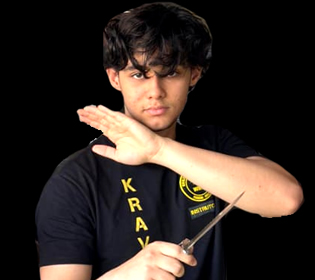 Leo Luis